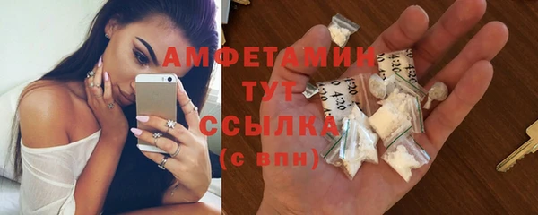 ешки Пересвет