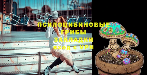 ешки Покровск