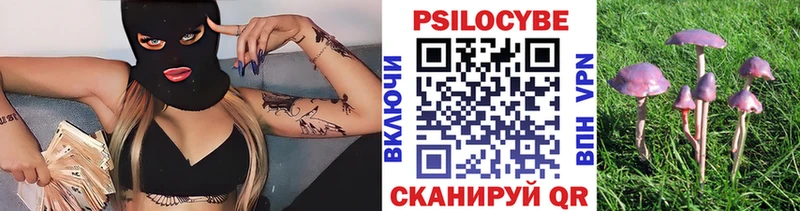 Псилоцибиновые грибы MAGIC MUSHROOMS  KRAKEN ссылка  дарк нет Telegram  Курганинск 