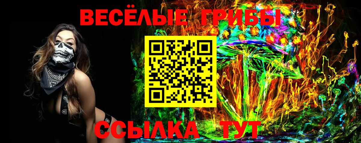 Псилоцибиновые грибы прущие грибы Курганинск