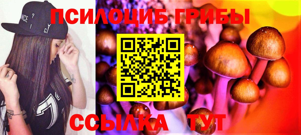 Псилоцибиновые грибы Magic Shrooms  Курганинск  Псилоцибиновые грибы MAGIC MUSHROOMS 